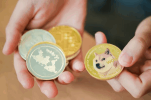 Is Bitcoin or Dogecoin A Safer Investment
