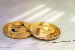 Is Bitcoin or Dogecoin a Safer