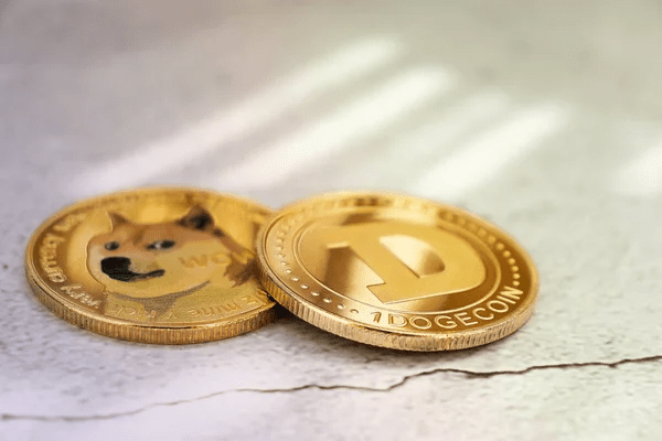 Is Bitcoin or Dogecoin a Safer