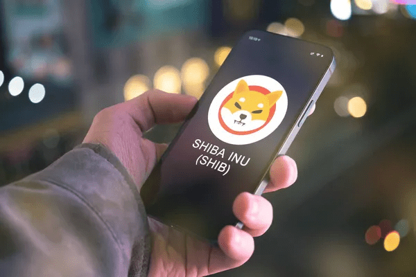 Is Shiba Inu A Good Investment