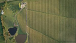 Aerial view of farmland with a farmhouse, two ponds and planted fields, the kind of rural land a self-directed IRA can buy